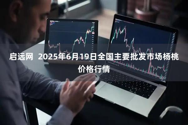 启远网  2025年6月19日全国主要批发市场杨桃价格行情