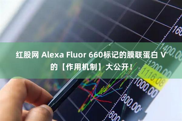 红股网 Alexa Fluor 660标记的膜联蛋白 V的【作用机制】大公开！