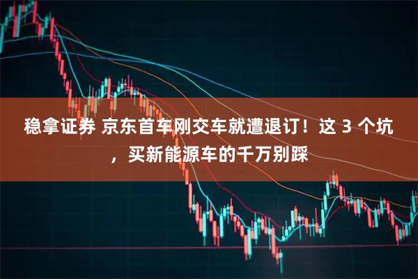 稳拿证券 京东首车刚交车就遭退订！这 3 个坑，买新能源车的千万别踩