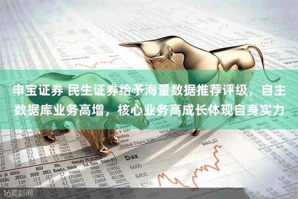 申宝证券 民生证券给予海量数据推荐评级，自主数据库业务高增，核心业务高成长体现自身实力