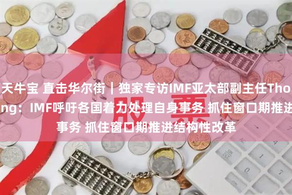 天牛宝 直击华尔街｜独家专访IMF亚太部副主任Thomas Helbling：IMF呼吁各国着力处理自身事务 抓住窗口期推进结构性改革
