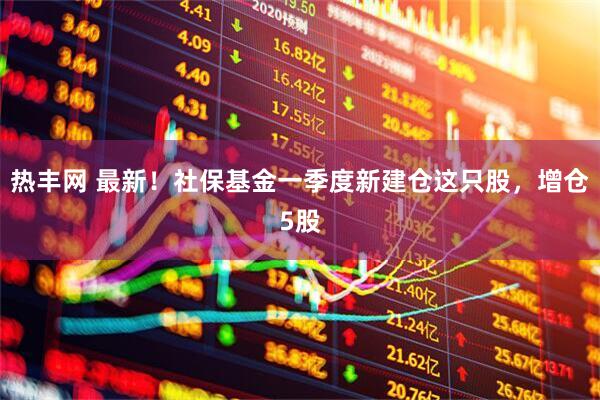 热丰网 最新！社保基金一季度新建仓这只股，增仓5股